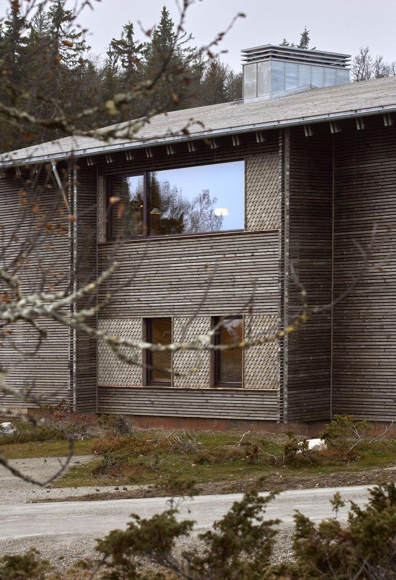 View through bare branches: the cabin, its glass chimney, and the surrounding forest