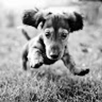 Camila Korin Cisneros Sierra