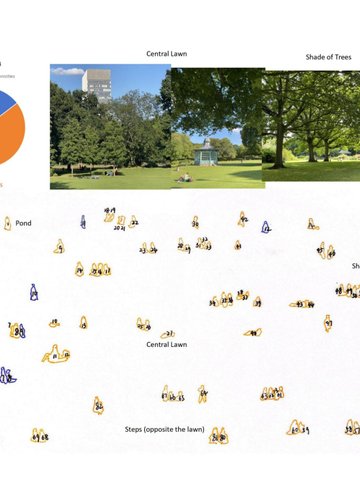 Enhancing Cultural Inclusion in Sheffield Urban Parks_Understanding of the Needs and Preferences of Chinese Residents