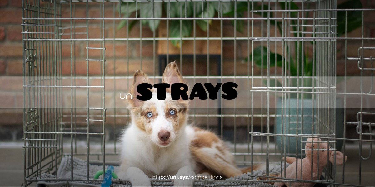 Strays