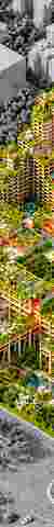 Healing Patch: An Approach Towards Carbon Negative Future