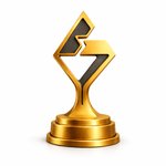 Professional Grand Prize