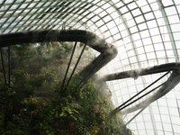 Whale Fall - Landscape Design