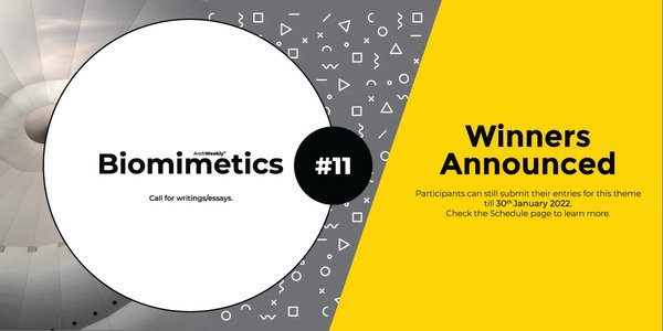 Biomimetics competition banner