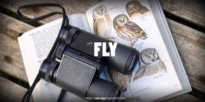 Fly competition banner