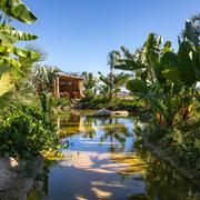 Ana Julia Carvajal / Alejandra de la Cerda