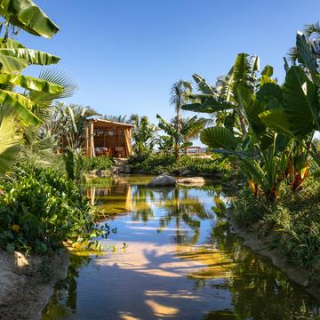 Ana Julia Carvajal / Alejandra de la Cerda