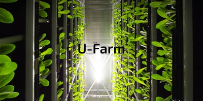 U-Farm competition banner