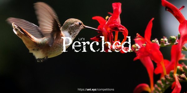 Perched competition banner