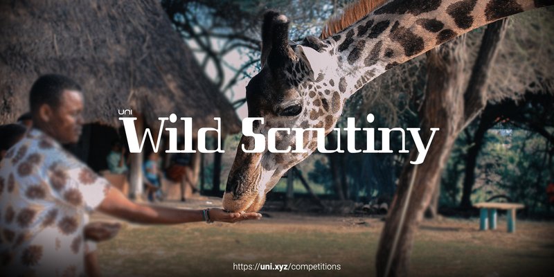 Wild Scrutiny