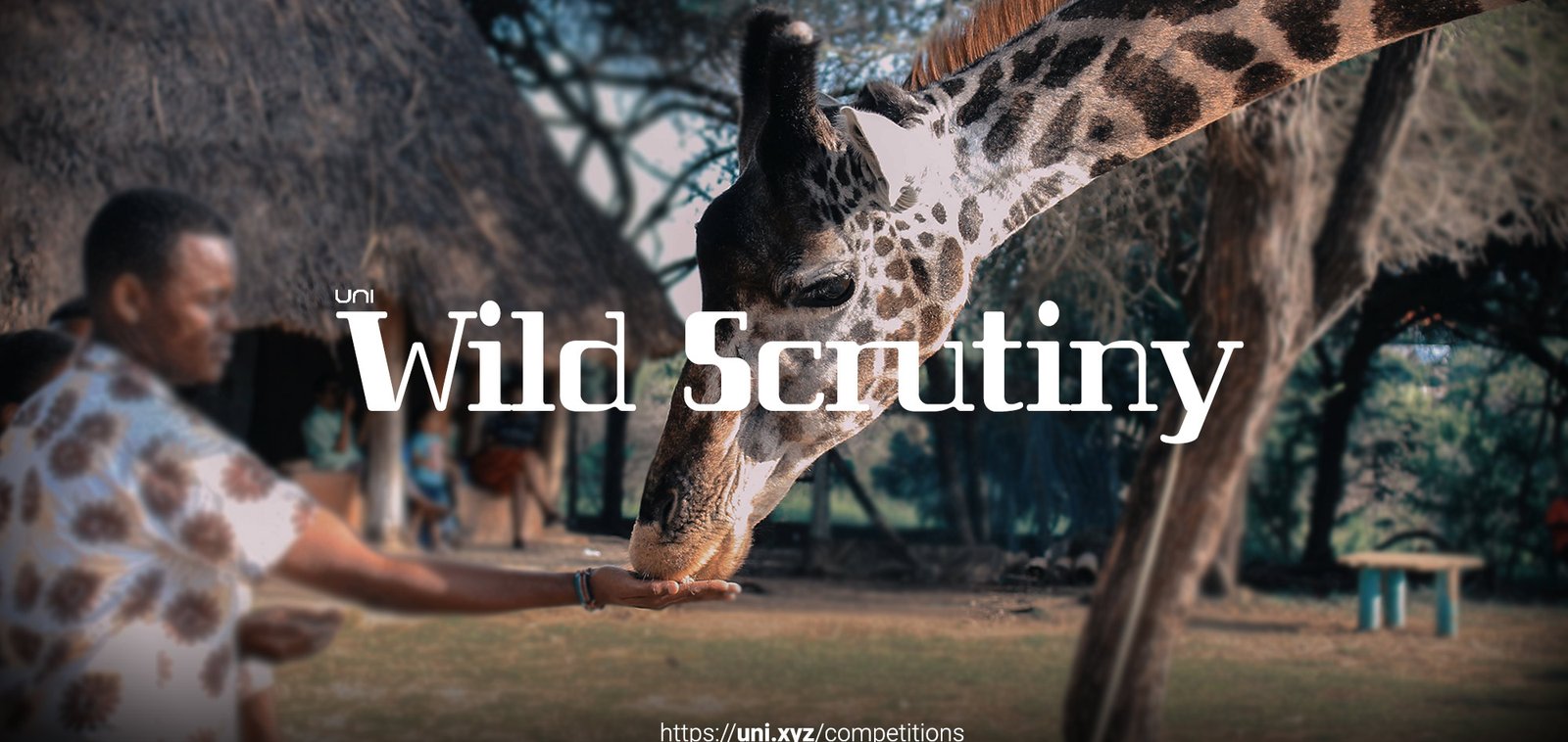 Advertisement image for Wild Scrutiny