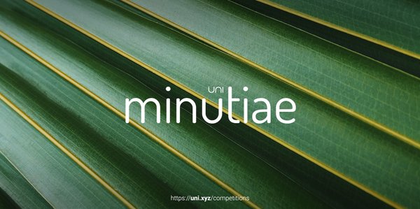 Minutiae competition banner