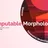 Computable Morphologies - Chapter 1