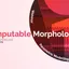 Computable Morphologies - Chapter 1