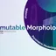 Permutable Morphologies - Chapter 1