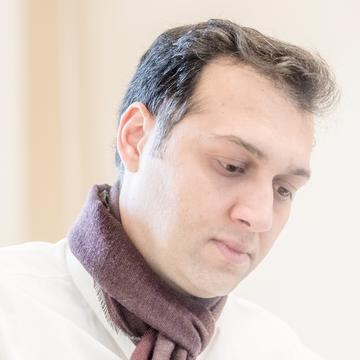 Mohammad Mehdi Saeidi