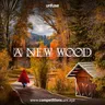 A New Wood