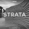 Strata 2020