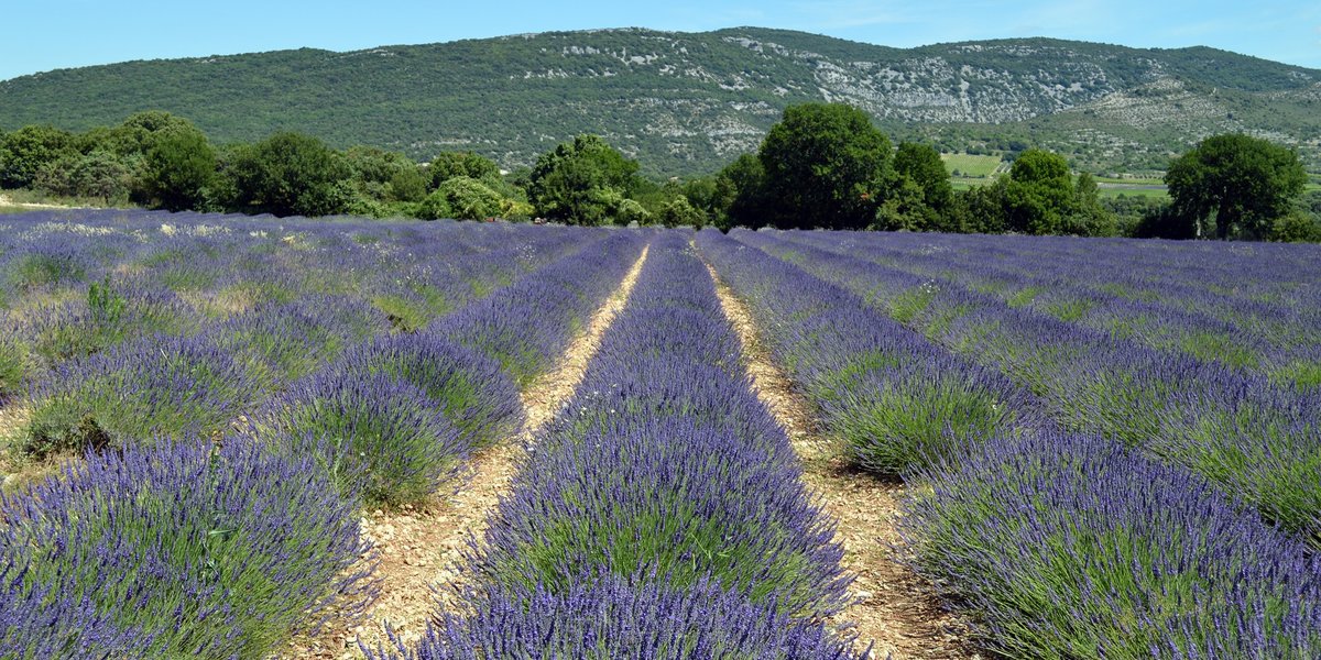 Jardin de Villars Contest