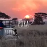 Pura