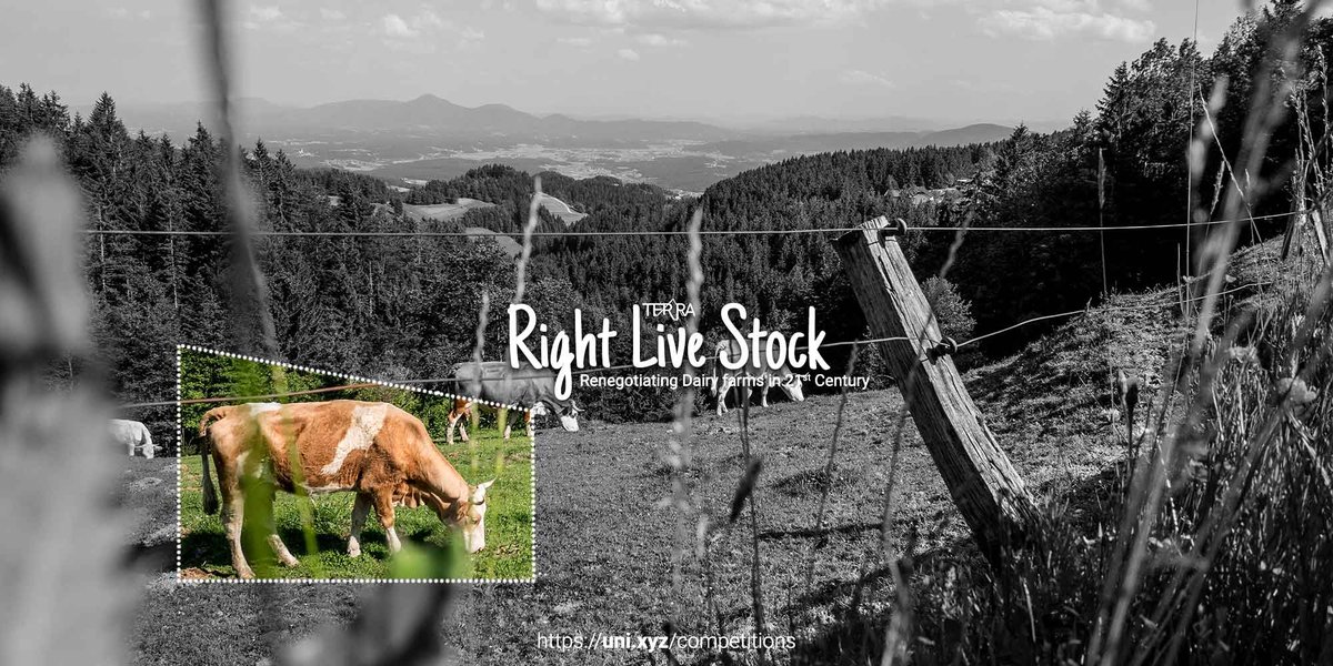 Right-Live-Stock