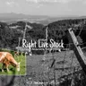 Right-Live-Stock