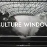 Culture Window