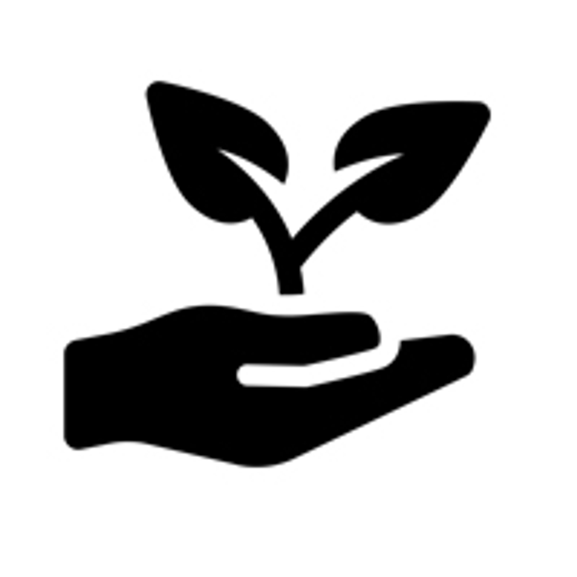 THE SPRUCE Eco-lodge